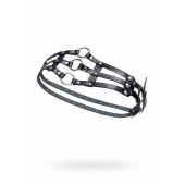 Черный кожаный пояс с кольцами - Pecado - купить с доставкой в Москве