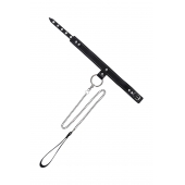 Черный узкий однослойный ошейник с серебристым поводком-цепочкой - Pecado - купить с доставкой в Москве