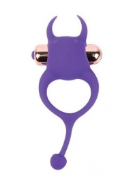 Фиолетовое эрекционное виброкольцо с рожками и хвостиком - Bior toys - в Москве купить с доставкой