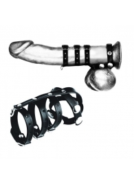 Комбинированный ремень на пенис с 3 кольцами и разделителем мошонки - BlueLine - купить с доставкой #SOTBIT_REGIONS_UF_V_REGION_NAME#