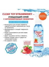 Очищающий спрей для игрушек CLEAR TOY Strawberry - 100 мл. - Биоритм - купить с доставкой в Москве