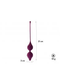 Фиолетовые вагинальные шарики Alcor - Le Frivole