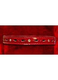 Красный декоративный ошейник со стразами - Подиум - купить с доставкой #SOTBIT_REGIONS_UF_V_REGION_NAME#