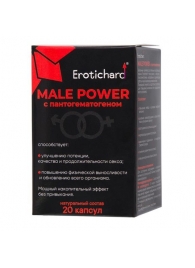 Капсулы для мужчин Erotichard male power с пантогематогеном - 20 капсул (0,370 гр.) - Erotic Hard - купить с доставкой #SOTBIT_REGIONS_UF_V_REGION_NAME#