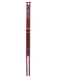 Бордовый ремень Halo Waist Belt - размер L-XL - Shots Media BV - купить с доставкой в Москве