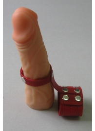 Красный кожаный поводок на пенис с кнопками - Sitabella - купить с доставкой в Москве