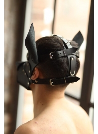Эффектная маска собаки с металлическими заклепками - БДСМ Арсенал - купить с доставкой в Москве