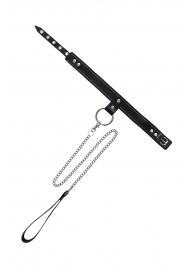 Черный узкий однослойный ошейник с серебристым поводком-цепочкой - Pecado - купить с доставкой в Москве