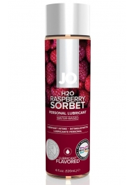 Лубрикант на водной основе с ароматом малины JO Flavored Raspberry Sorbet - 120 мл. - System JO - купить с доставкой в Москве