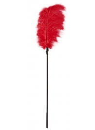 Стек с большим красным пером Large Feather Tickler - 65 см. - Blush Novelties - купить с доставкой #SOTBIT_REGIONS_UF_V_REGION_NAME#