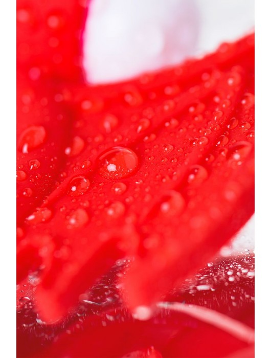 Красное эрекционное кольцо на пенис JOS COCKY DEVIL - JOS - в Москве купить с доставкой