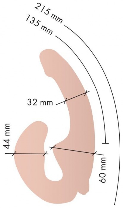 Телесный анатомический страпон с вибрацией - Главсексмаг - купить с доставкой в Москве