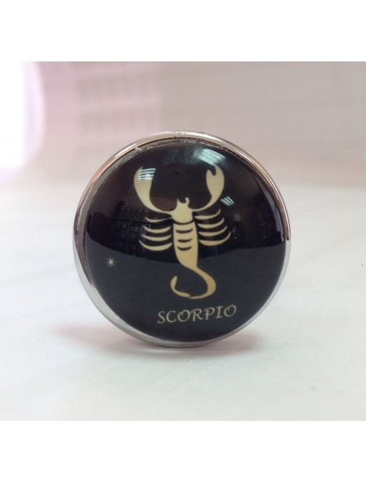 Серебристая анальная пробка со знаком зодиака - Скорпион - Главсексмаг - купить с доставкой в Москве