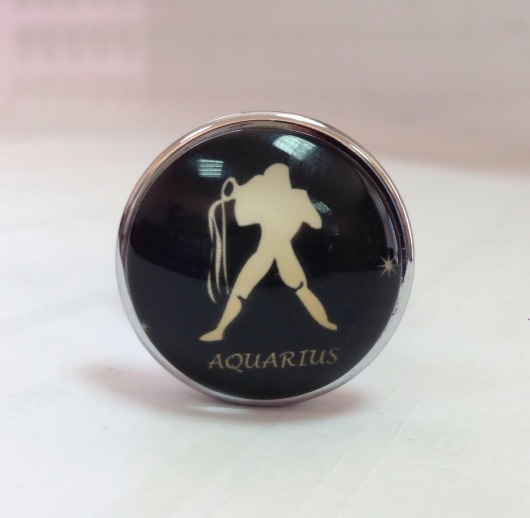 Серебристая анальная пробка со знаком зодиака - Водолей - Главсексмаг - купить с доставкой в Москве