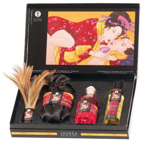 Набор из 4 предметов  Нежность и страсть - Shunga - купить с доставкой в Москве