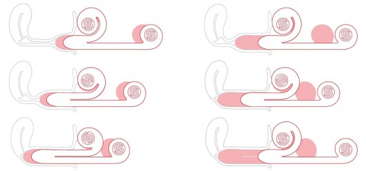 Уникальный вибромассажер-улитка для двойной стимуляции Snail Vibe - Snail