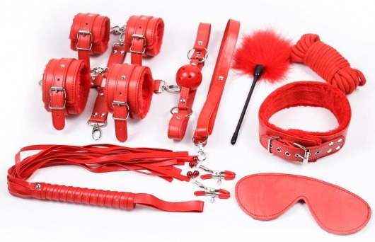Набор красных БДСМ-аксессуаров Bandage Kits из 10 предметов - Vandersex - купить с доставкой в Москве