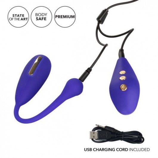 Фиолетовый шарик с электростимуляцией и вибрацией Intimate E-Stimulator Remote Kegel Exerciser - California Exotic Novelties - купить с доставкой в Москве