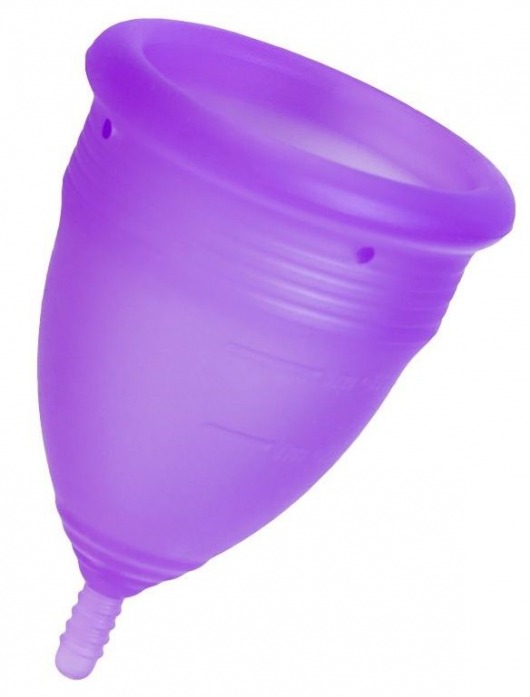 Фиолетовая менструальная чаша Lila L - Eromantica - купить с доставкой в Москве