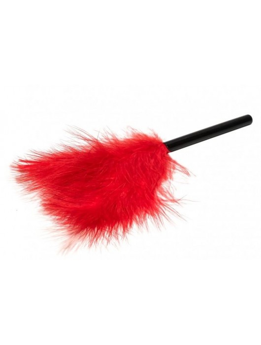 Эротический набор БДСМ из 5 предметов в красном цвете - Rubber Tech Ltd - купить с доставкой в Москве