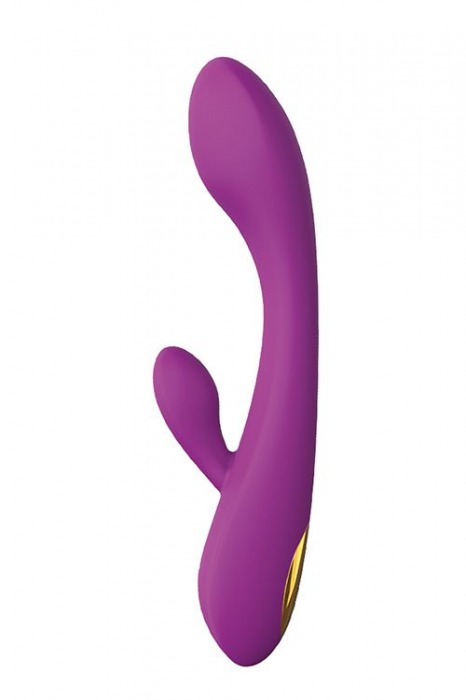 Фиолетовый вибратор HONEY BUNS с клиторальным стимулятором - Dream Toys