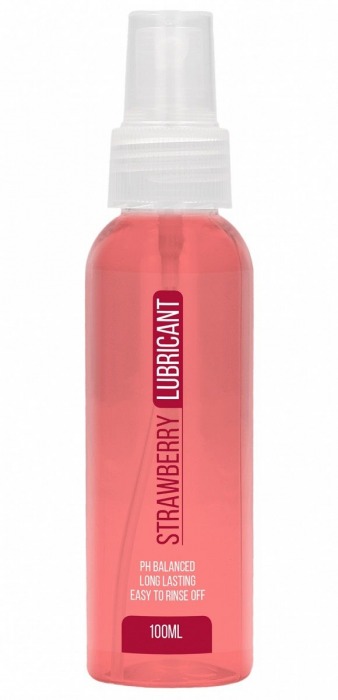 Лубрикант на водной основе с ароматом клубники Strawberry Lubricant - 100 мл. - Shots Media BV - купить с доставкой в Москве