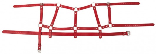 Красный комплект БДСМ-аксессуаров Harness Set - Orion - купить с доставкой в Москве