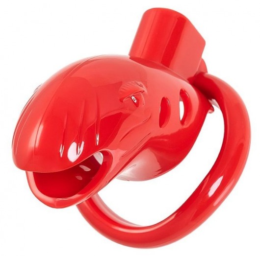Красный мужской пояс верности из пластика - ToyFa - купить с доставкой в Москве
