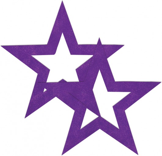Фиолетовые пестисы-звёзды - Shots Media BV купить с доставкой