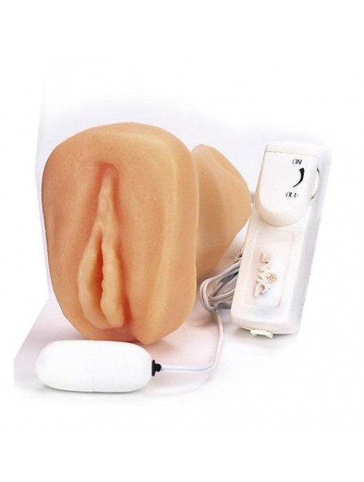 Мастурбатор-вагина с вибрацией ELLY POCKET PAL VAGINA MULTISPEED - NMC - в Москве купить с доставкой