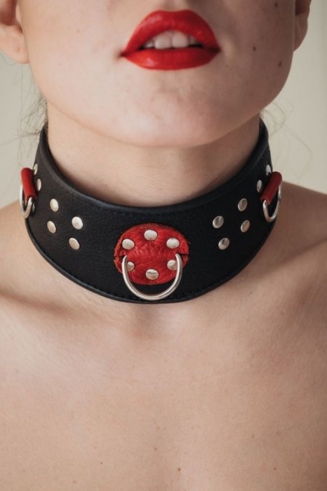 Кожаный ошейник с клепками и кольцами - БДСМ Арсенал - купить с доставкой в Москве