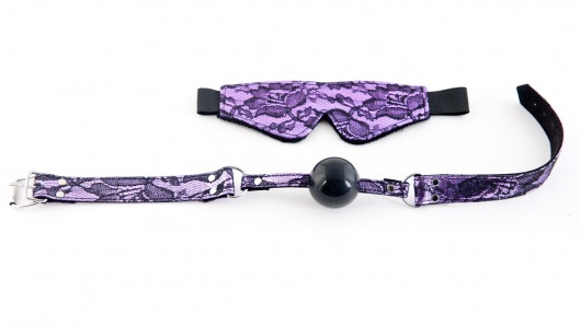 Кружевной набор пурпурного цвета: маска и кляп - ToyFa - купить с доставкой в Москве