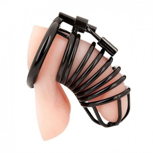 Черная металлическая клетка с замком Deluxe Chastity Cage - BlueLine - купить с доставкой в Москве