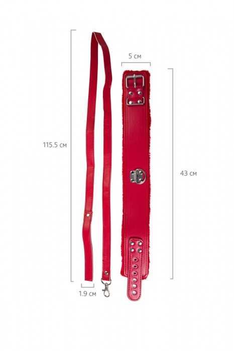 Красный ошейник с металлической фурнитурой - Toyfa Basic - купить с доставкой в Москве