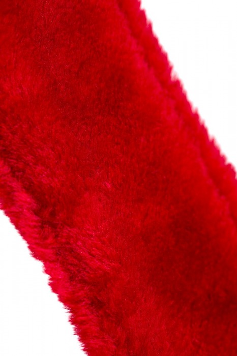 Красный ошейник с металлической фурнитурой - Toyfa Basic - купить с доставкой в Москве