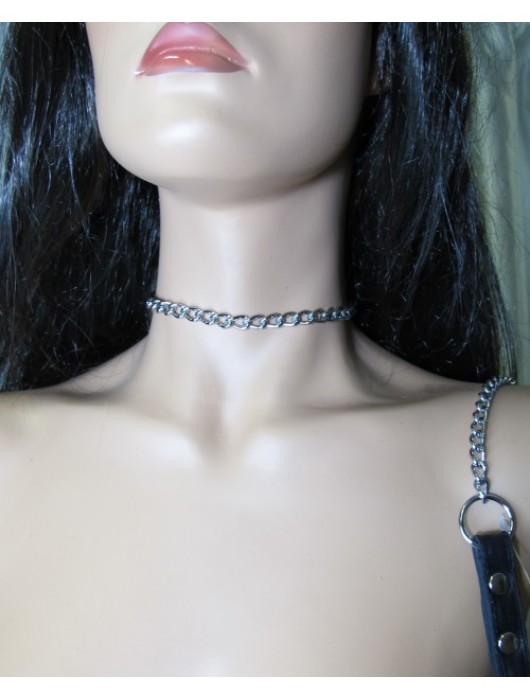 Металлический поводок с кожаной ручкой - БДСМ Арсенал - купить с доставкой в Москве