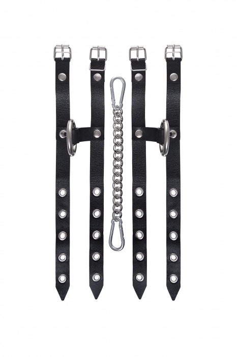 Черные однослойные кожаные оковы из двух ремешков - Pecado - купить с доставкой в Москве