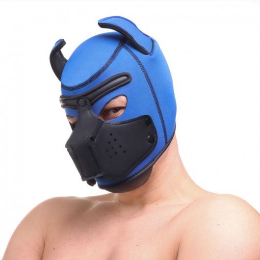 Синяя неопреновая БДСМ-маска Puppy Play - Сима-Ленд - купить с доставкой в Москве