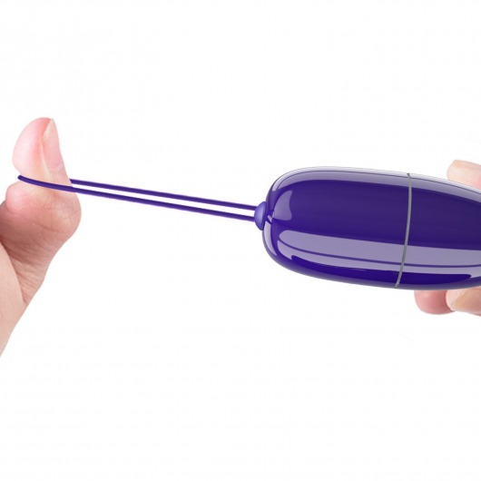 Фиолетовое виброяйцо Selkie-Youth с пультом ДУ - Baile