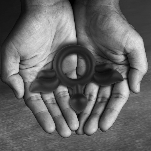 Черное эрекционное кольцо с крыльями Rooster Jeliel Angel - Velv or - в Москве купить с доставкой