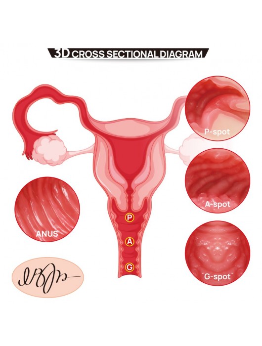 Мастурбатор-полуторс с двойным слоем материала Vanilla Onahole Real Vagina - KOKOS - в Москве купить с доставкой