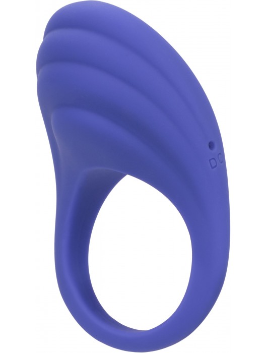 Фиолетовое эрекционное виброкольцо Couples Ring с управлением через приложение - California Exotic Novelties - в Москве купить с доставкой