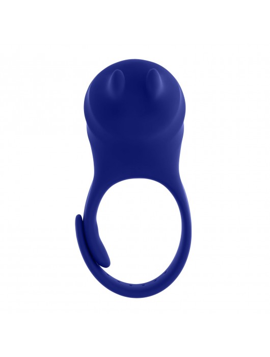 Синее эрекционное виброкольцо с клиторальной подушечкой и пультом ДУ Adjustable Fun Ring - Zero Tolerance - в Москве купить с доставкой