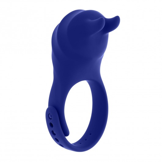 Синее эрекционное виброкольцо с клиторальной подушечкой и пультом ДУ Adjustable Fun Ring - Zero Tolerance - в Москве купить с доставкой