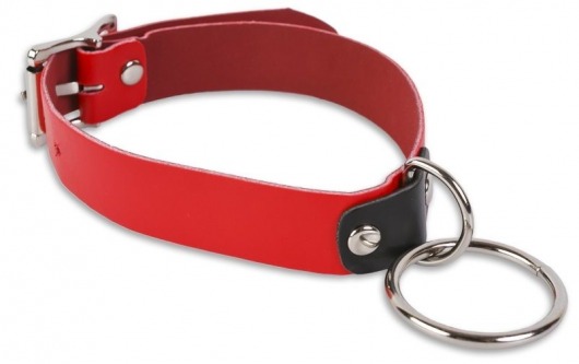 Красный ошейник с колечком - Пикантные штучки - купить с доставкой в Москве