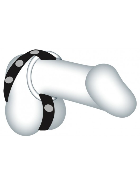 Подхват для мошонки с 3 съемными эрекционными кольцами Leder-Riemen - Orion - в Москве купить с доставкой