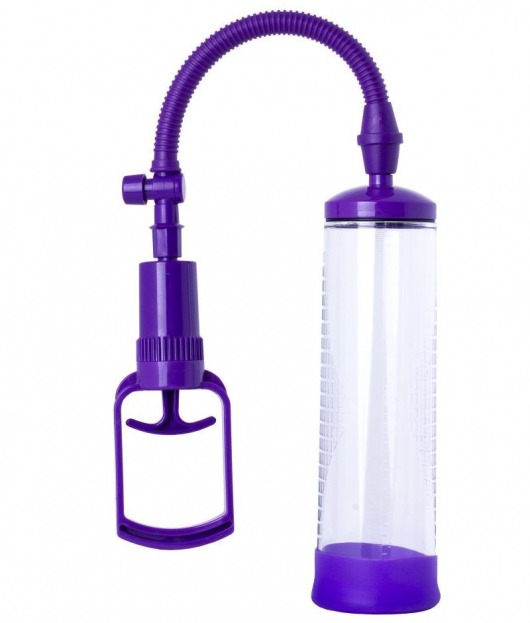 Фиолетовая вакуумная помпа с прозрачной колбой - Sexus - в Москве купить с доставкой