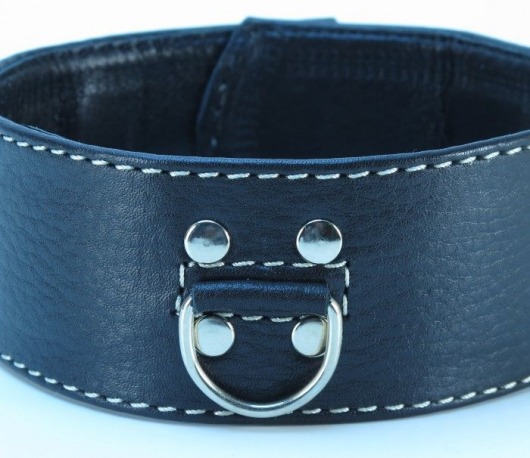 Черный кожаный ошейник с петлёй для поводка - БДСМ Арсенал - купить с доставкой в Москве