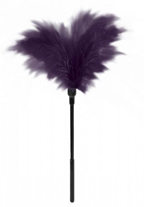 Пластиковая метелочка с фиолетовыми пёрышками Small Feather Tickler - 32 см. - Blush Novelties - купить с доставкой в Москве
