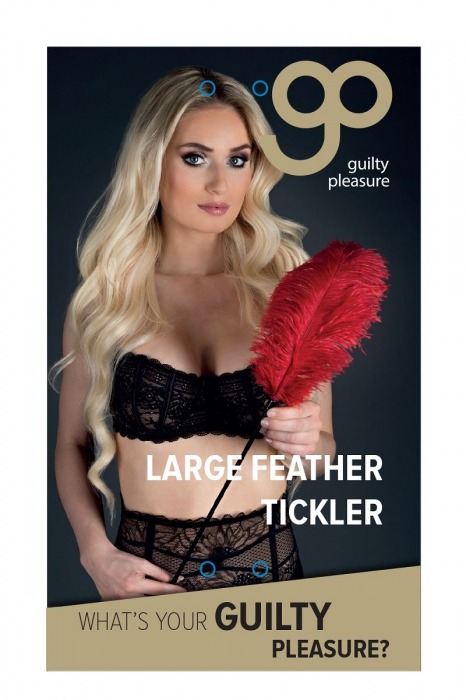 Стек с большим красным пером Large Feather Tickler - 65 см. - Blush Novelties - купить с доставкой в Москве